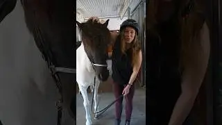 Slarvig ryttare 🤪 Hur är du i stallet? P.s Nu har vi lagt ut en ny YT video 😍 YT: Johanna & Marcus