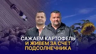 Отказываемся от пшеницы, сеем подсолнечник и развиваем картофель — ТОО Юнвест Агро