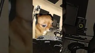 cuando acabo un beat de Reguetón y se la pongo a mi perro jaja 😆