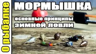 Зимняя ловля рыбы на мормышку с насадкой,основные принципы,как ловить на мормышку зимой.