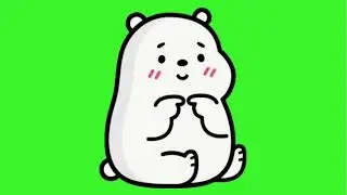 Polar Bear Green screen chroma Key