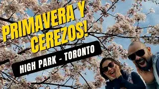 INICIO DE LA PRIMAVERA 🌷EN TORONTO🌸: Florecimiento de los cerezos HIGH PARK