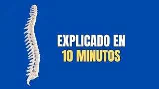 Columna Vertebral para Principiantes: Resumen en 10 Minutos – Guía Actualizada 2025.