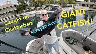 Giant catfish smashes bass lure and almost pulls rod out of my hand in front of an audience!