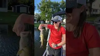 Largemouth Bass from the Pontoon!