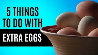 5 Things To Do With Extra Eggs | When Your Chickens Lay More Eggs Than You Can Eat | Homesteading