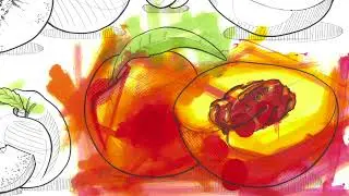 UniSA Orientation Video