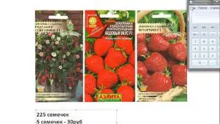 Как продавать клубнику по 27000 руб килограмм