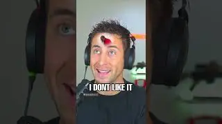 Questionable Gameplay | Ready Or Not 