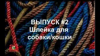 Как самостоятельно сделать шлейку для кошки или собаки