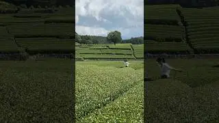 Kalau kebun sebesar ini tanam apa ya?! 🤩😆 #ITOENIndonesia