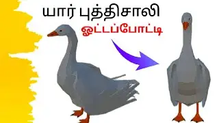 யார் புத்திசாலி ஓட்டப்போட்டி#tamil story#kathikale#animationmovietamil