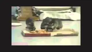БРАТИШКА Я ТЕБЕ ПАКУШАТЬ ПРИНЕС