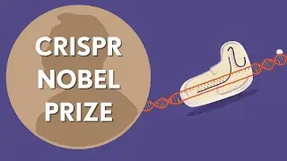 CRISPR Wins the Nobel Prize!! Science News 3.1