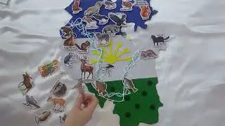 Карта из фетра (логопедическая)