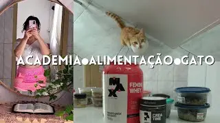 Ganho de massa magra depois dos 40 | alimentação | suplemento e gato