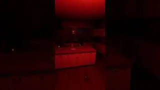 Red Room Shadow Ghost! | Phasmophobia 