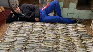 FISH CRAZY | RECORD SET