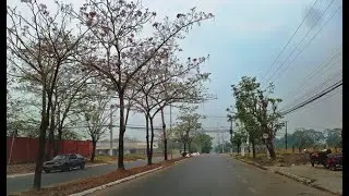 Gravou vídeo de fumaça  oriunda de Queimadas em Porto Velho - RO