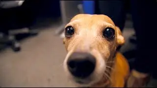 for Luna
