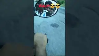 kuch dikha 😱😱