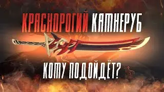 КРАСНОРОГИЙ КАМНЕРУБ - НА КОГО СТАВИТЬ? | Гайд на сигну Итто | Genshin Impact 2.7
