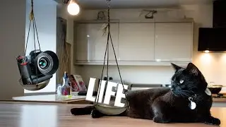 When Life Gets in the Way of Photography