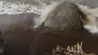 Ломоносов, берег Финского залива