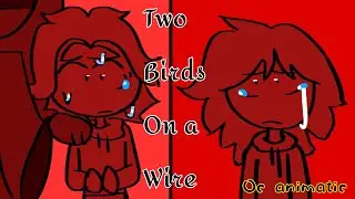 Two Birds On A Wire | OC animatic |
