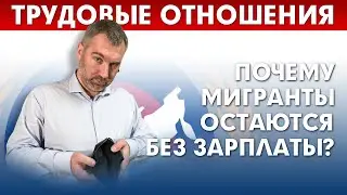 ТРУДОВЫЕ ОТНОШЕНИЯ | ПОЧЕМУ МИГРАНТЫ ОСТАЮТСЯ БЕЗ ЗАРПЛАТЫ? | Федерация мигрантов России