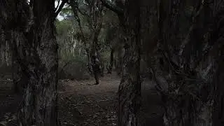 DJI MAVIC SE Cinematic