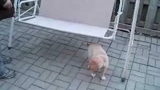 Tessa - Playing lazer with Jimmy