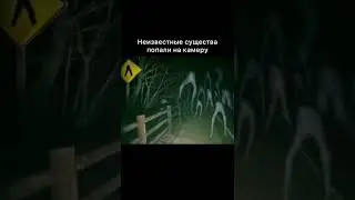 Про меня можно узнать в телеге в коментах с!лка