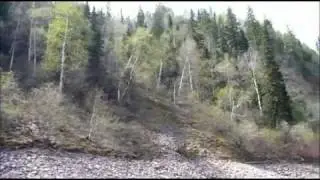 Открытие сезона летней рыбалки в подпоре р.Сисим