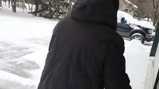 Snow Joe snowblower