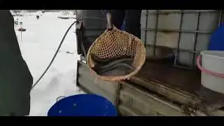 Обстановка на водоеме