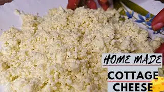 COTTAGE CHEESE : How To Make Cottage Cheese At Home (EASY METHOD)