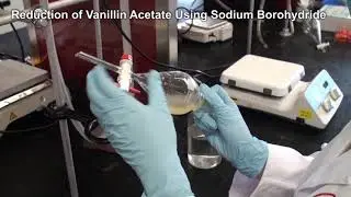 CHEM 3810 Org Lab II - Expt 1