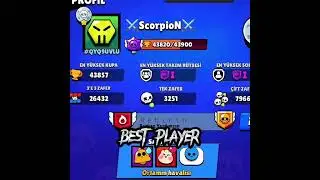 The best from Brawl Stars