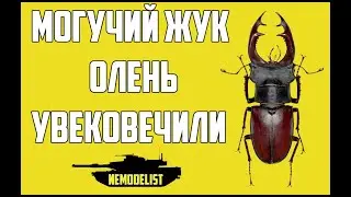 Жук олень.Виньетка в память о летнем отдыхе