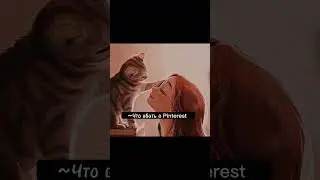 Что вбить в Pinterest 💗🌼🧚‍♀️🦋идейки✨
