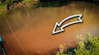 ЛЕЗУ ЧЕРЕЗ ЛЕС К ПЕРЕКАТУ! РЫБАЛКА НА МАЛОЙ РЕКЕ С БЕРЕГА! ЖЕРЕХ ХОТЕЛ СОЖРАТЬ моего ГОЛАВЛЯ!?