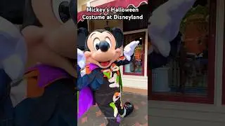 Mickey’s Skeleton Costume for Halloween Time at Disneyland 💀🎃🖤✨