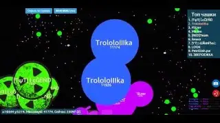 Чашка Петри Мега Сплит Нагнул Сервер 30000+