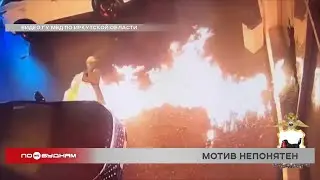 Более 90 уголовных дел по факту поджогов возбуждено в Иркутской области с начала года