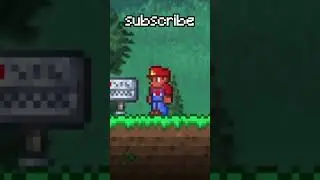 You've NEVER seen this Terraria item...
