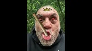 Big Ganja eErb (PSA)