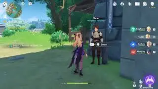 Question and Answer, Talk to Swan - Genshin Impact World Quest