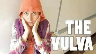 The Vulva - The Vagina's Neighborhood - 4