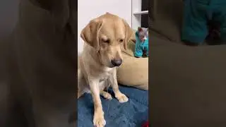 Дени чудит 😜 